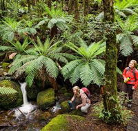Baw Baw National Park - Surfers Gold Coast