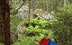 Centennial Glen - thumb 0