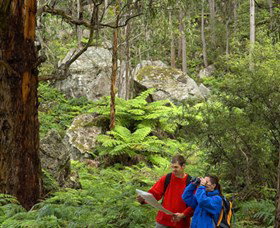 Centennial Glen - Surfers Gold Coast 0