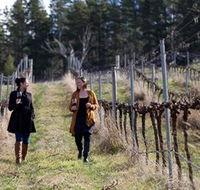Mount Majura Vineyard - Surfers Gold Coast