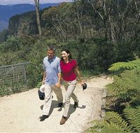 Blue Mountains Walking Tracks - Surfers Gold Coast