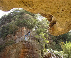Blue Mountains National Park - Surfers Gold Coast 2