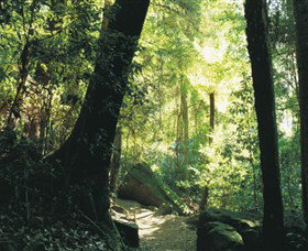 Blue Mountains National Park - Surfers Gold Coast 5