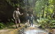 Blue Mountains National Park - thumb 3
