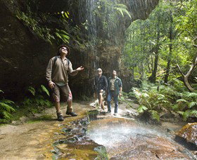 Blue Mountains National Park - Surfers Gold Coast 3