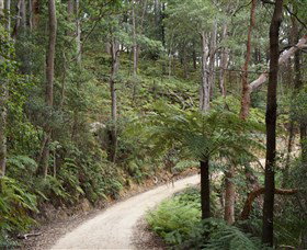 Blue Mountains National Park - Surfers Gold Coast 8