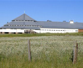 Deeargee Woolshed - Surfers Gold Coast 0