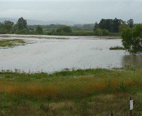 Jerrabomberra Wetlands - Surfers Gold Coast 1