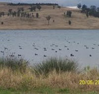 Lake Liddell Recreation Area - Surfers Gold Coast