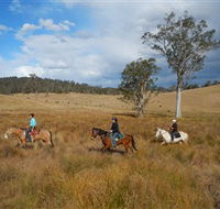 Chapman Valley Horse Riding - Surfers Gold Coast