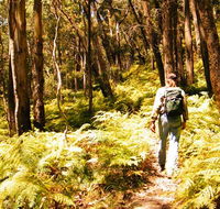 Federal Pass - Surfers Gold Coast