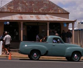 Tenterfield Saddler - Surfers Gold Coast 2