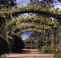 Blue Mountains Botanic Garden - Surfers Gold Coast