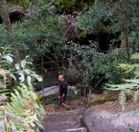 Leura Cascades Fern Bower - Surfers Gold Coast
