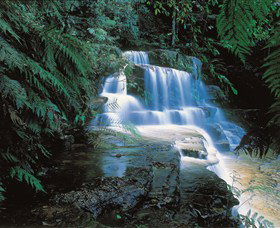 Leura NSW Surfers Gold Coast