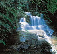 Leura Cascades - Surfers Gold Coast