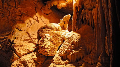 Wombeyan Karst Conservation Reserve - Surfers Gold Coast 2