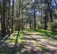 Wombeyan Waterfall walking track - Surfers Gold Coast