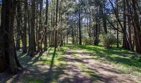 Wombeyan Waterfall Walking Track - Surfers Gold Coast 0