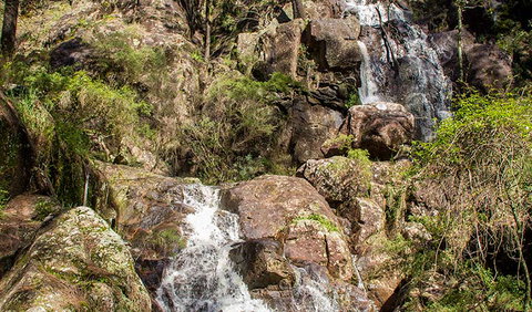Wombeyan Waterfall Walking Track - Surfers Gold Coast 3