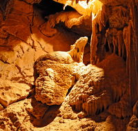 Fig Tree Cave - Surfers Gold Coast
