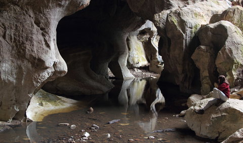 Fig Tree Cave - Surfers Gold Coast 2