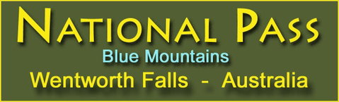 National Pass - Surfers Gold Coast 6