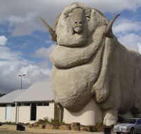 Big Merino - Surfers Gold Coast
