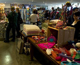 Big Merino - Surfers Gold Coast 1