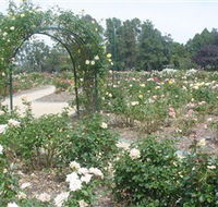 Victoria Park Rose Garden - Surfers Gold Coast