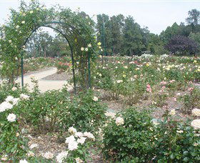 Victoria Park Rose Garden - Surfers Gold Coast 0