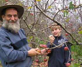Pine Crest Orchard - Surfers Gold Coast 0