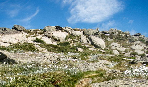 Mount Stillwell Walk - Surfers Gold Coast 1