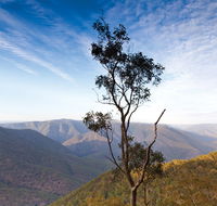 Salisbury Waters walking track - Surfers Gold Coast