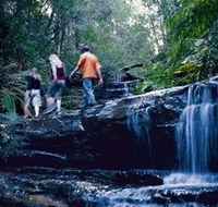 South Lawson Waterfall Circuit - Surfers Gold Coast