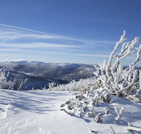 Rock Creek snowshoe track - Surfers Gold Coast