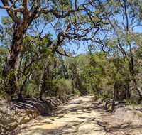 Howes trail - Surfers Gold Coast