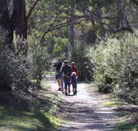 Syd's Rapids and Aboriginal Heritage Trail Avon Valley - Surfers Gold Coast