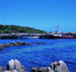 King Island Dairies - Surfers Gold Coast