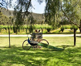 Stomp! Wines - Surfers Gold Coast 3