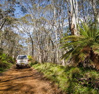 Barrington trail - Surfers Gold Coast