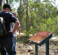Finchley cultural walk - Surfers Gold Coast
