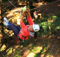 Trees Adventure Grose River Park - Surfers Gold Coast