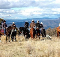 Snowy Wilderness - Surfers Gold Coast