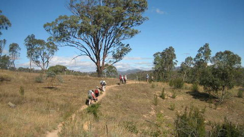 Kambah Pool To Pine Island - Surfers Gold Coast 3