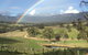 Dryridge Estate - thumb 4