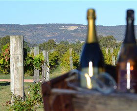 Ugly Duckling Wines - Surfers Gold Coast 1