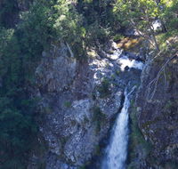 Lyrebird Falls walking track - Surfers Gold Coast