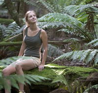 Barrington Tops National Park - Honeysuckle Forest Track - Surfers Gold Coast