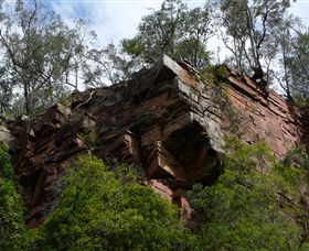 Mitchell River Walking Track - Surfers Gold Coast 2